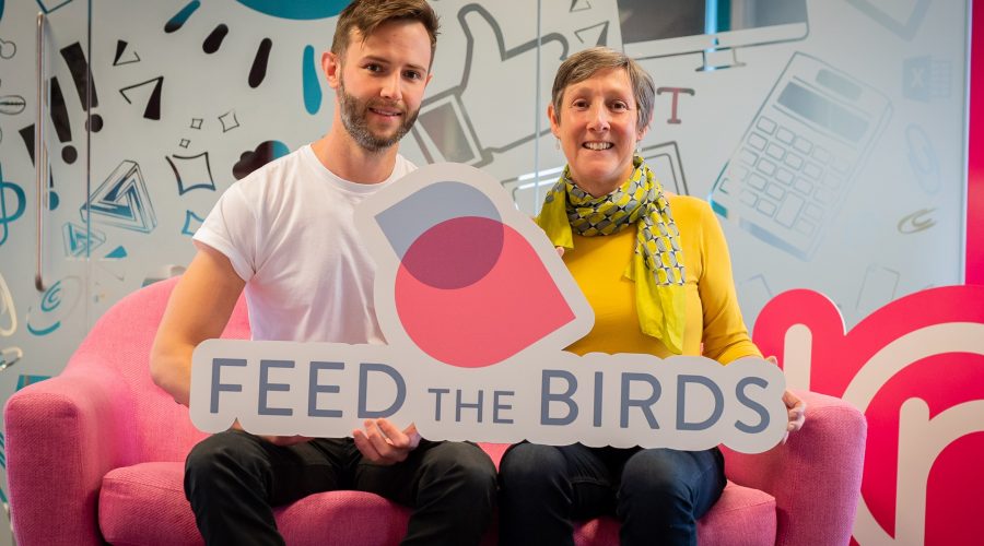 Feed the Birds branding project