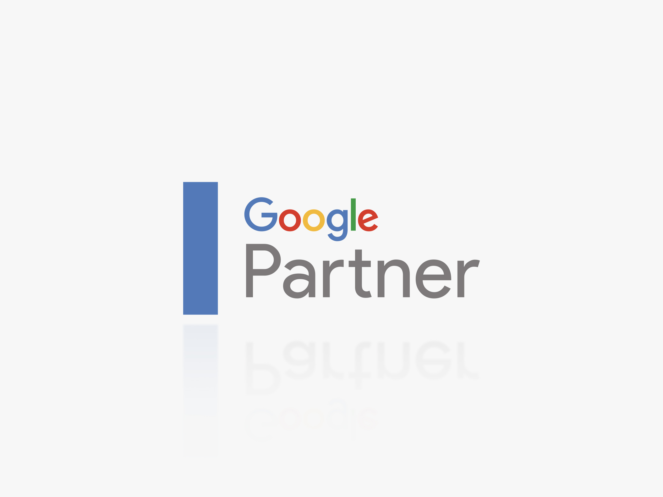 Google Partner - Reech Media