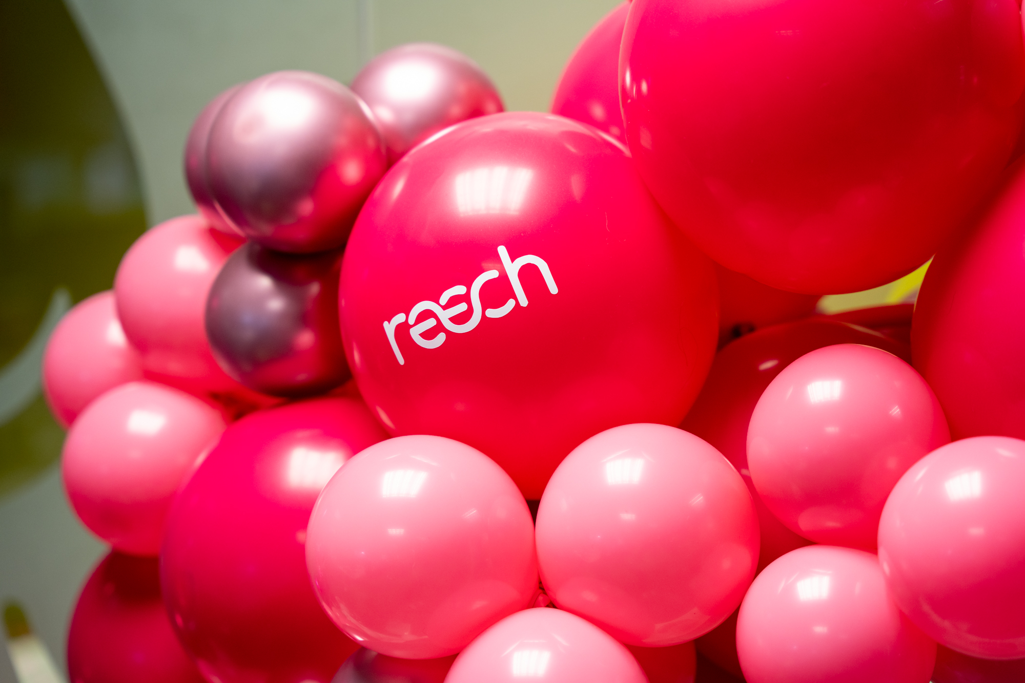 Reech's 12th Birthday | Marketing Agency Shropshire | Reech